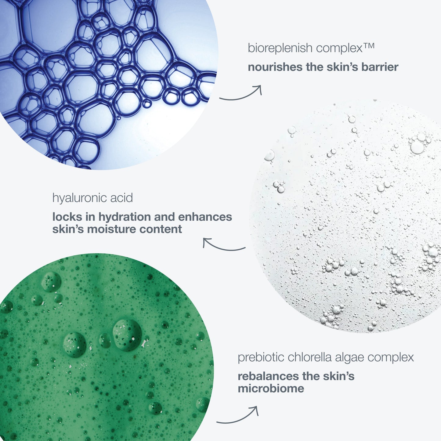 intensive moisture balance ingredients