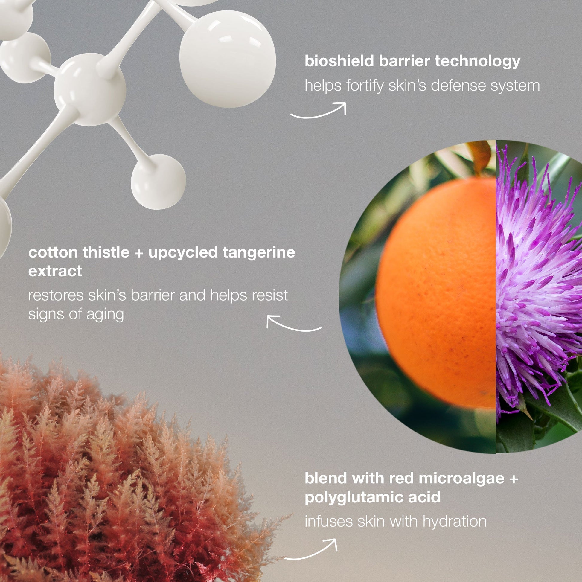 dynamic skin strengthening serum ingredients