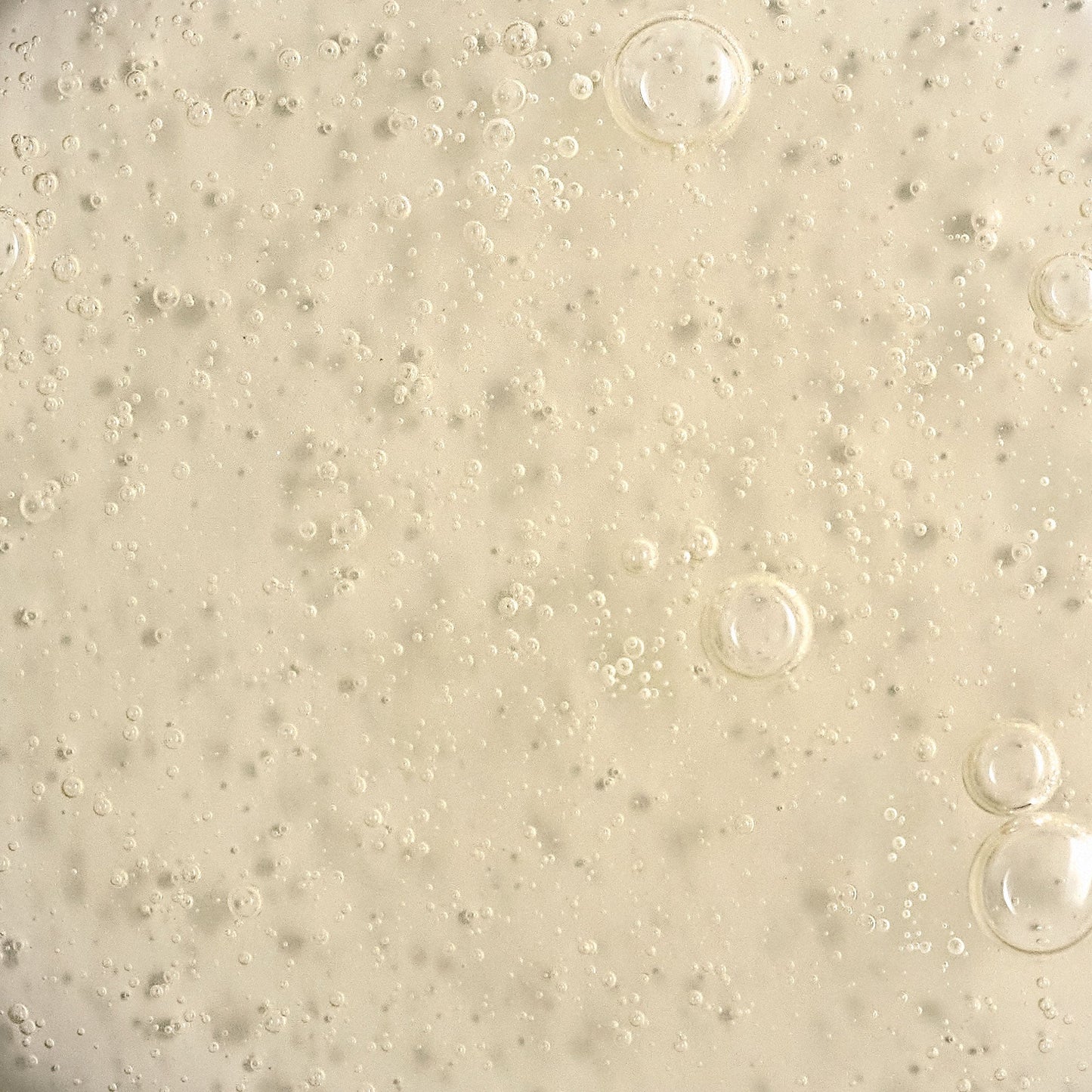 phyto nature e² swatch