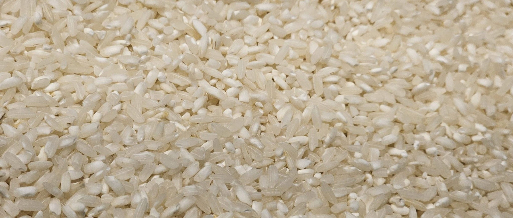hydrolyzed rice protein