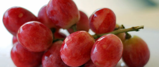 grape extract
