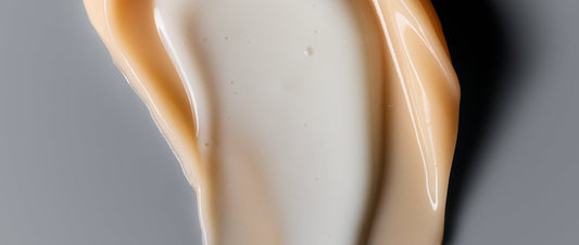 ferments probiotics