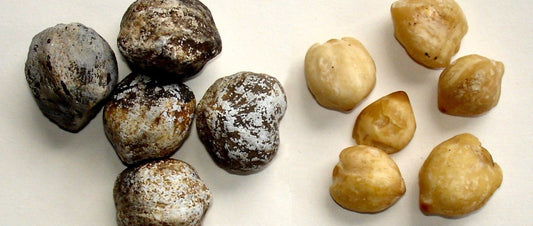 kukui nut