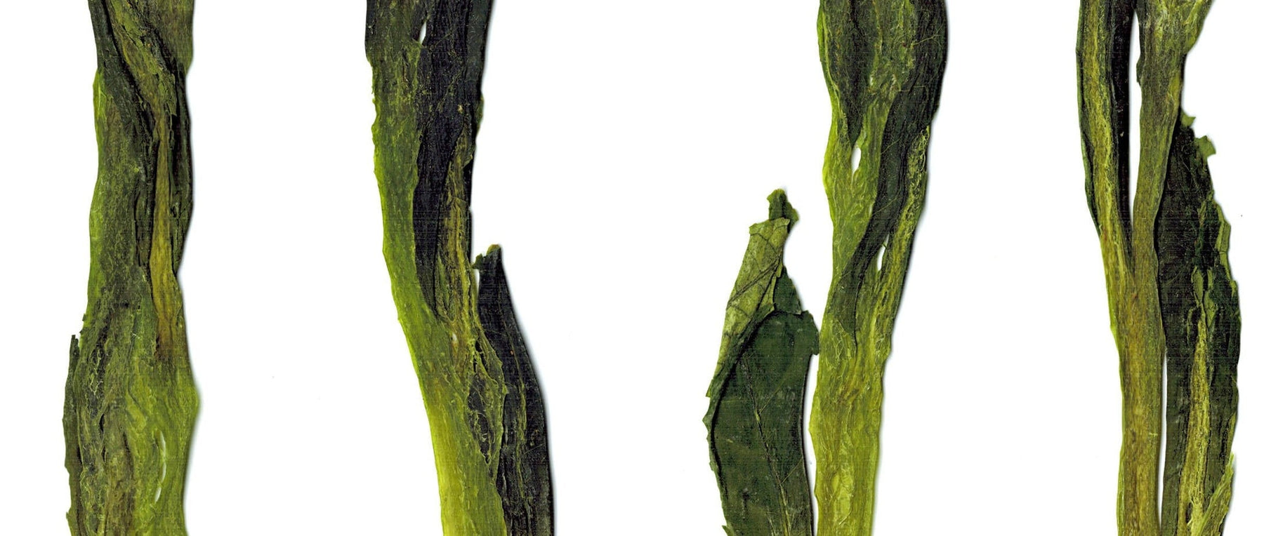 Botanical Extracts: Harnessing Nature’s Power for Healthy, Radiant Skin