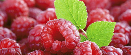 raspberry
