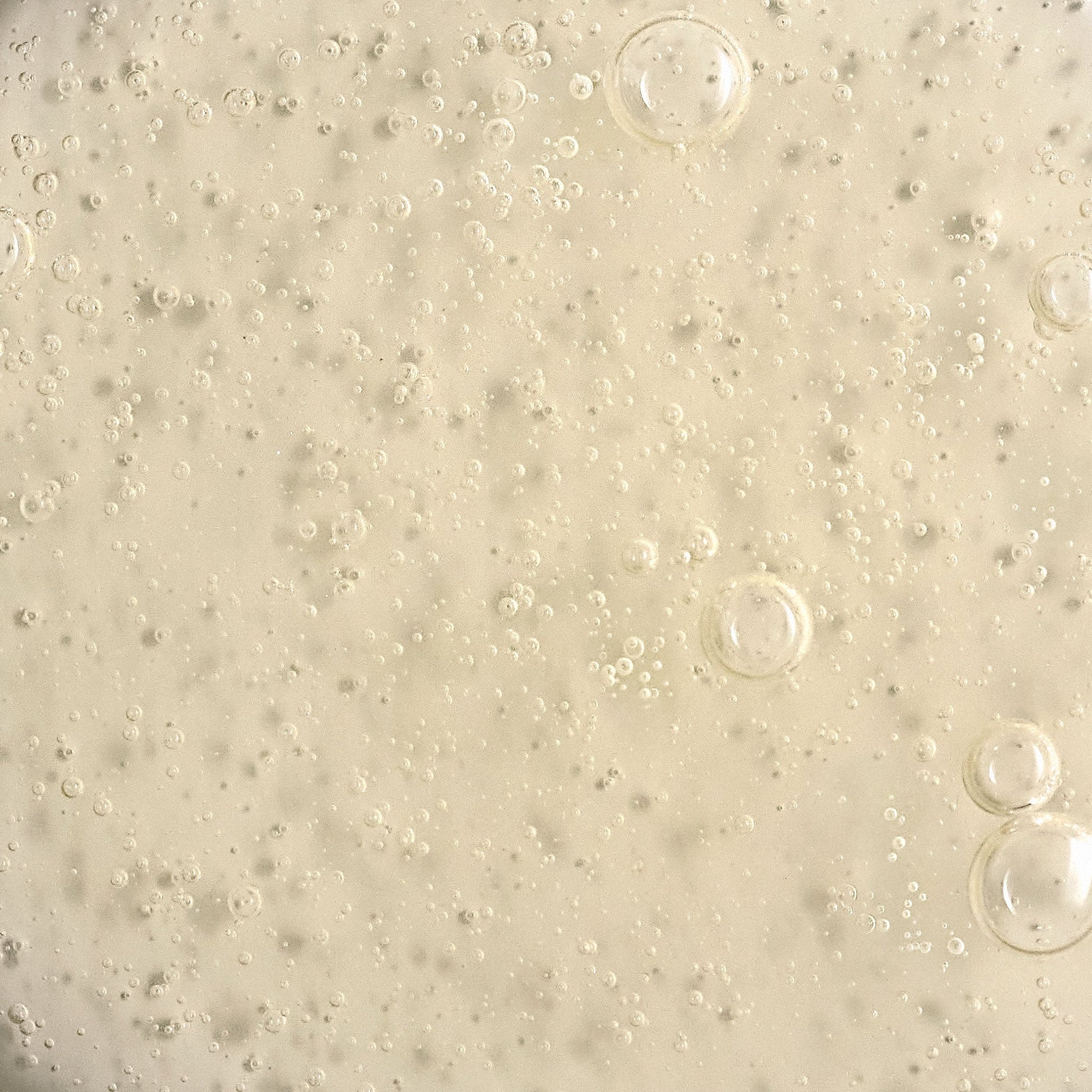 phyto nature e² swatch