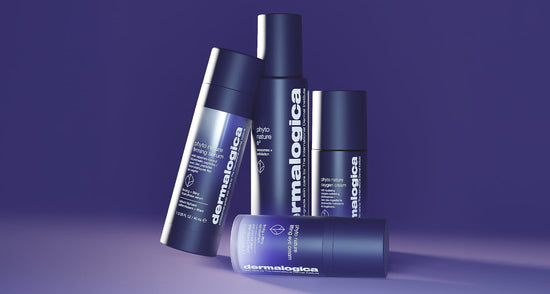 dermalogica phyto nature franchise