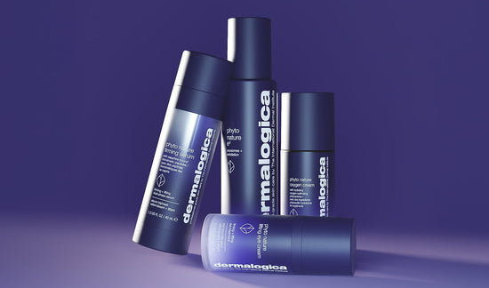 dermalogica phyto nature franchise