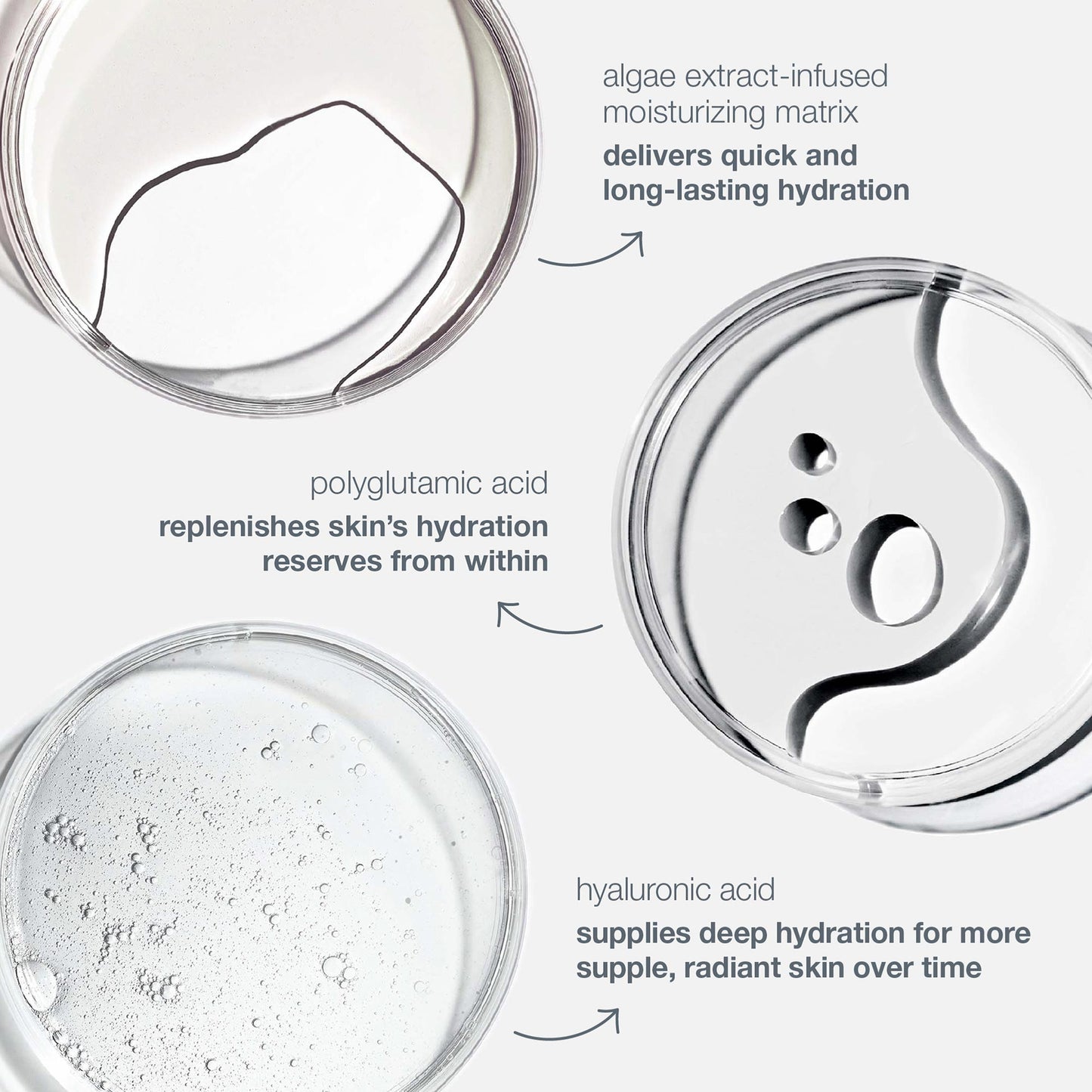 circular hydration serum ingredients