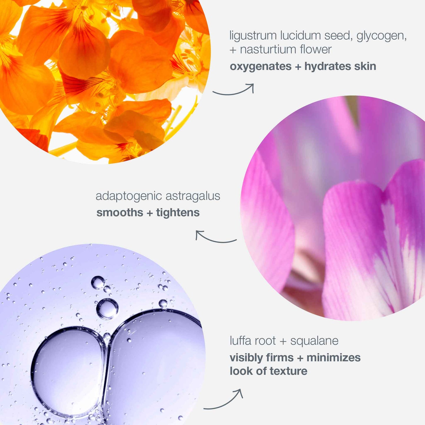 phyto nature oxygen cream ingredients 